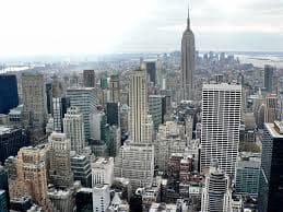Large-Scale Enterprises